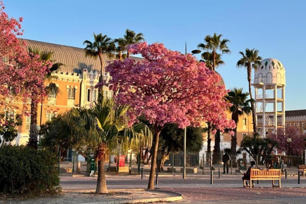 Apartamento Jacaranda Murcia Kültér fotó